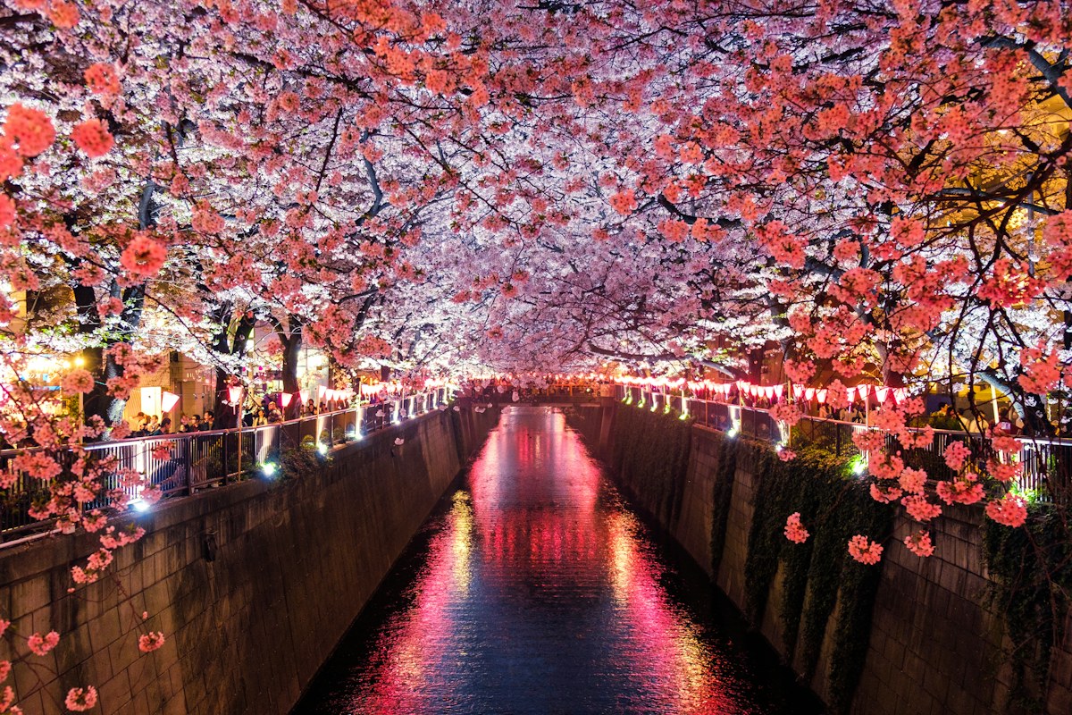 Fushimi Inari στο Κιότο — Ιαπωνία